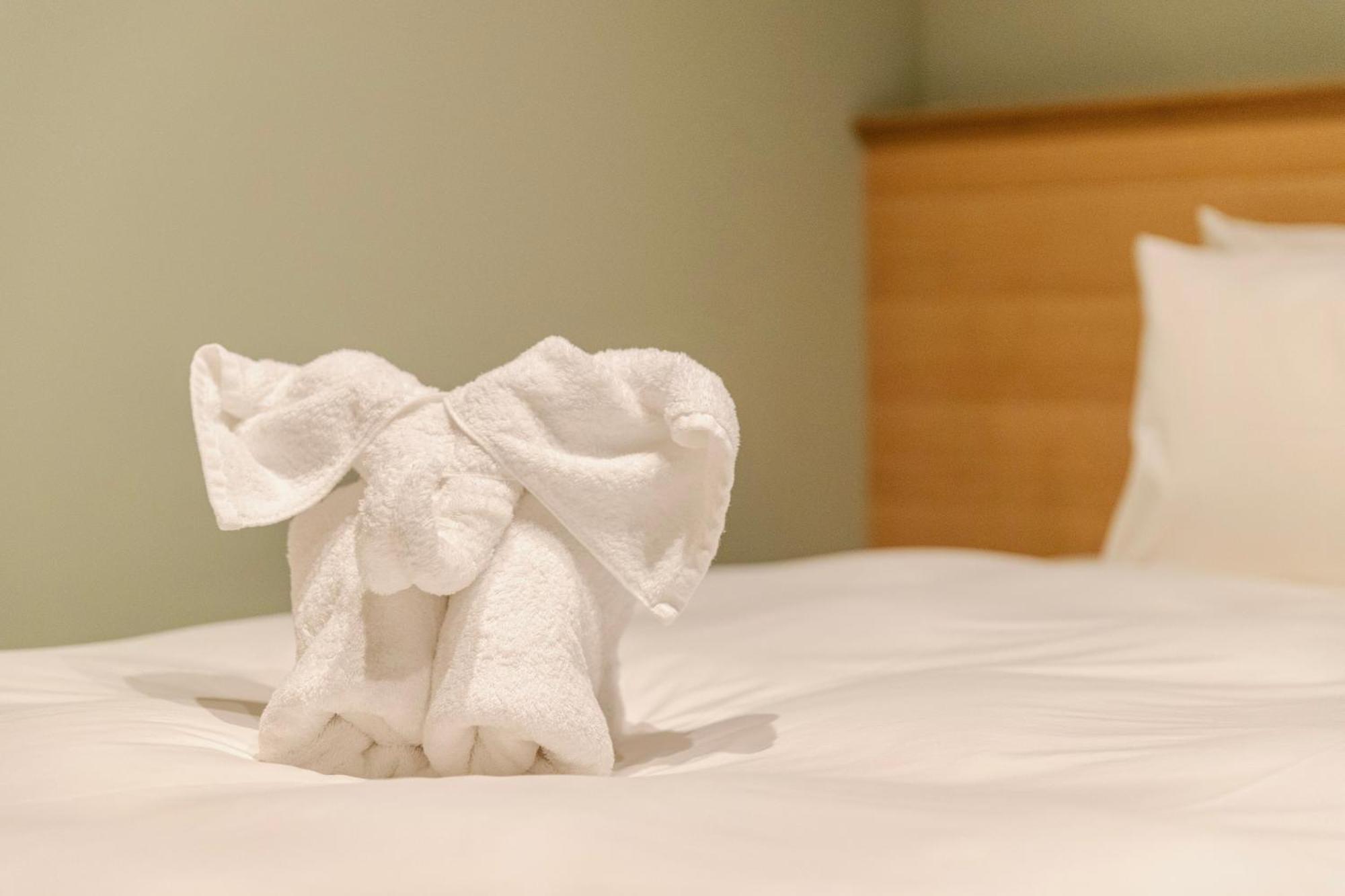 Hakuba Amber Resort By Jade Group Room photo